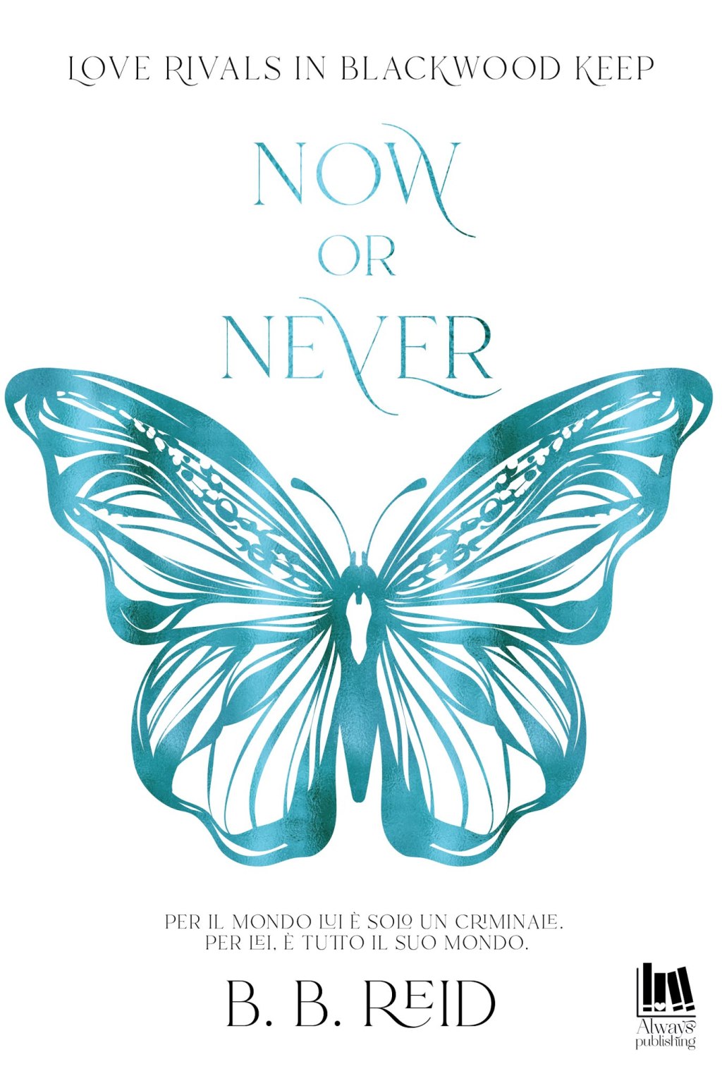 NUOVA USCITA: NOW OR NEVER di&nbsp;B.B.REIN