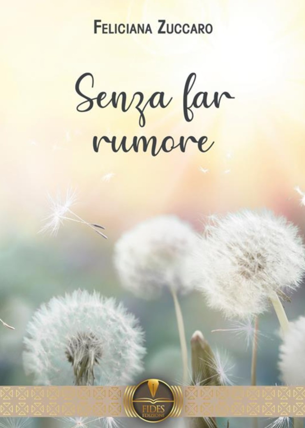 Recensione romanzo: Senza far rumore di Feliciana Zuccaro. 
